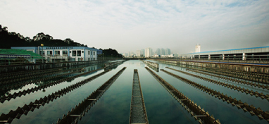 兩會聲音：城市“新洼地”之痛 如何補齊城市地下管網(wǎng)短板？